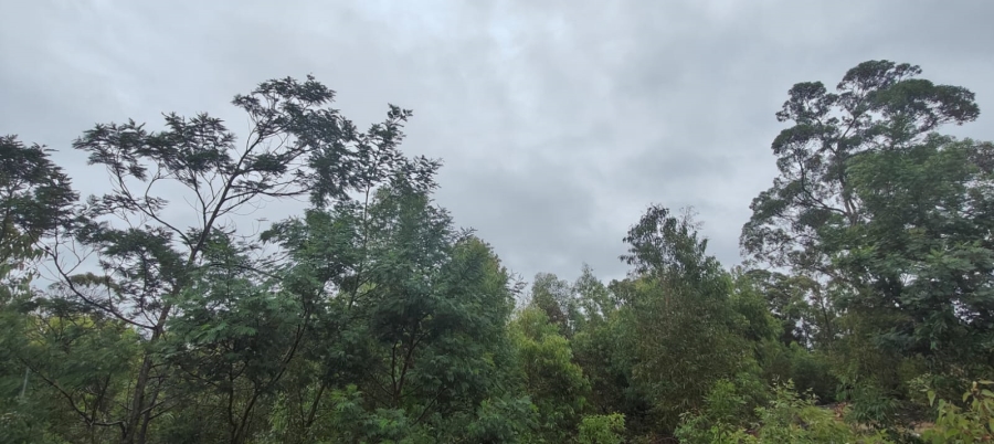 0 Bedroom Property for Sale in Greenbushes Eastern Cape